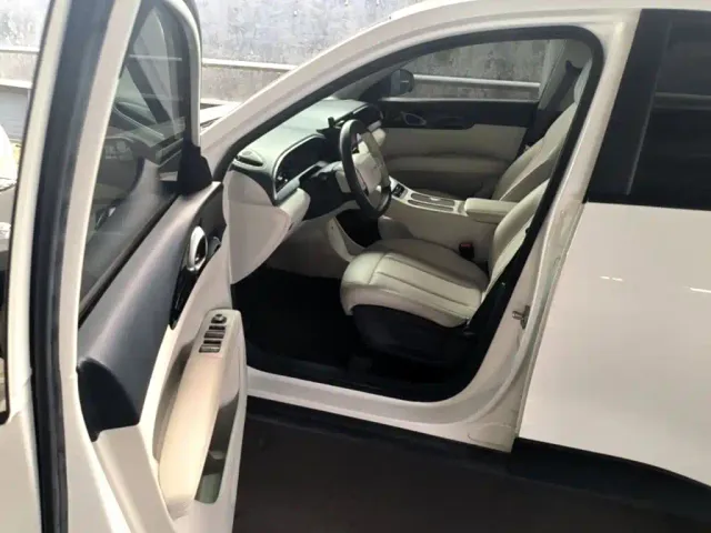 Geely Starry Wish — Фото автомобиля 12