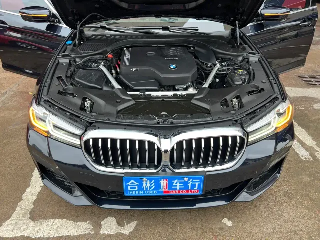 BMW 5 Series — Фото автомобиля 28