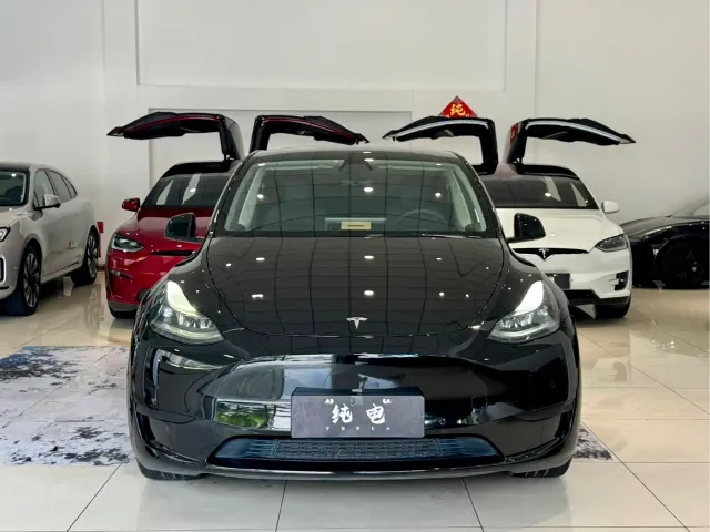 Tesla Model Y — Фото автомобиля 2