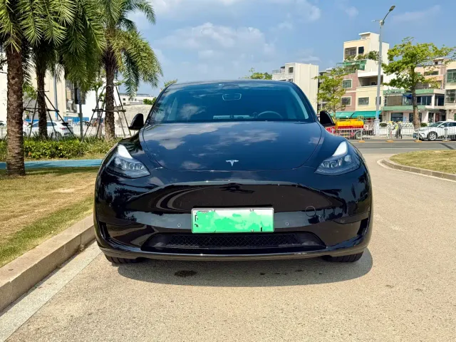 Tesla Model Y — Фото автомобиля 2