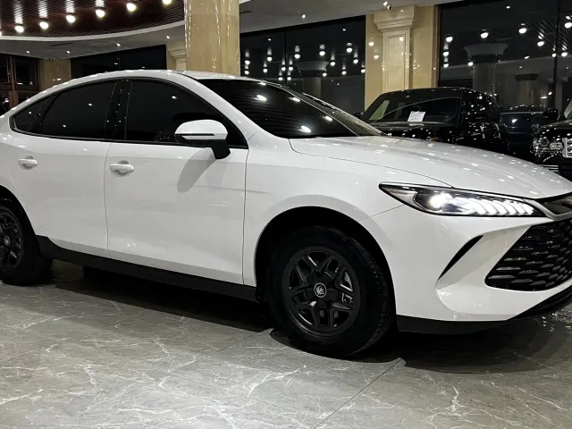 BYD Qin PLUS — Фото автомобиля 3