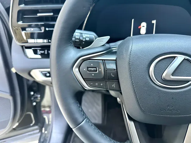 Lexus RX — Фото автомобиля 15