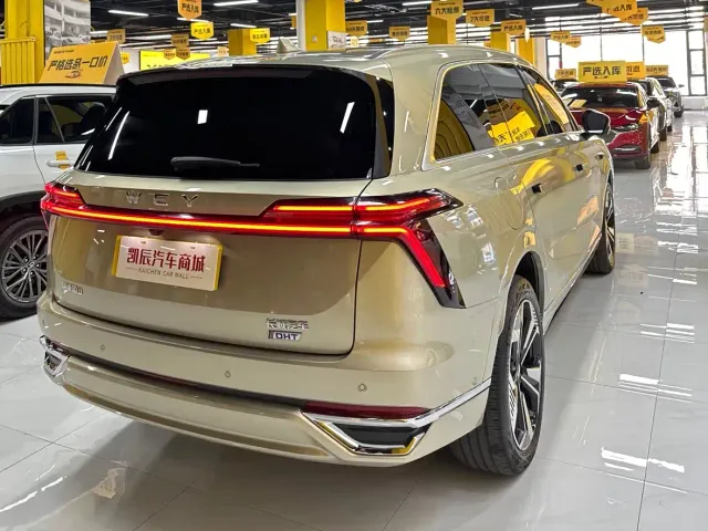 Wey Lanshan — Фото автомобиля 6