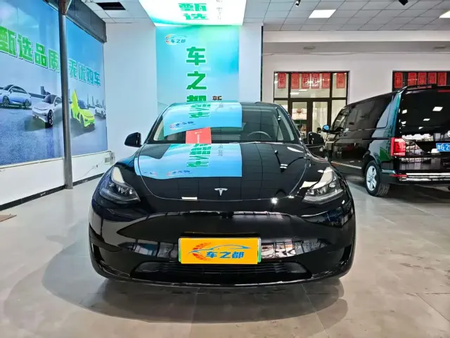 Tesla Model Y — Фото автомобиля 2