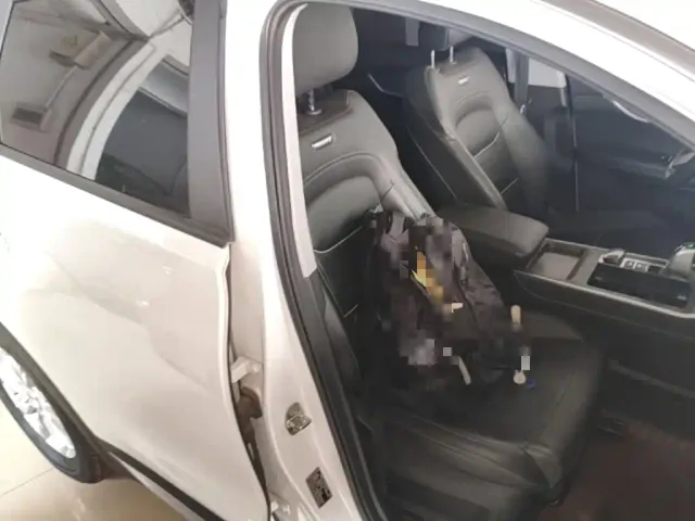 Chery Tiggo 7 PLUS — Фото автомобиля 24