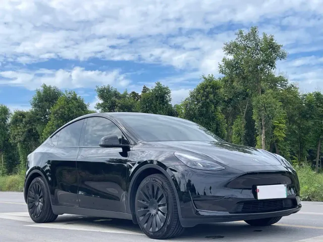 Tesla Model Y — Фото автомобиля 3