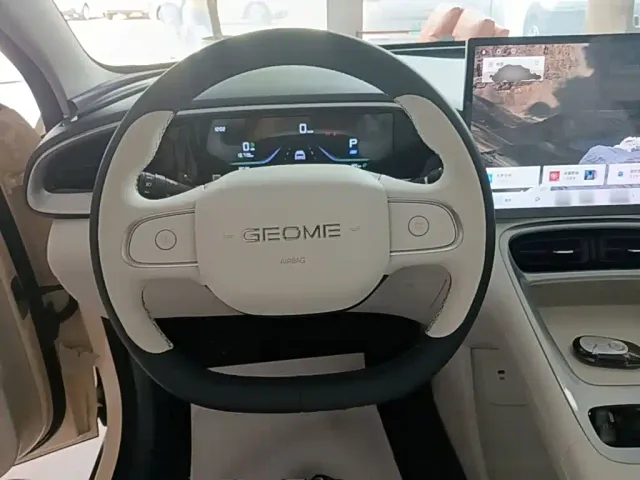 Geely Starry Wish — Фото автомобиля 10