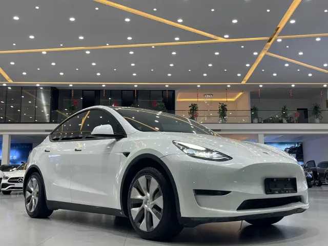 Tesla Model Y — Фото автомобиля 2