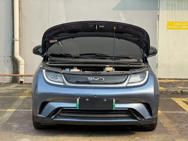 BYD Dolphin — Фото автомобиля 11