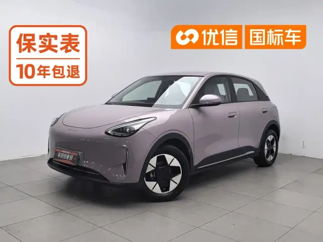 Фотография автомобиля — Geely Starry Wish