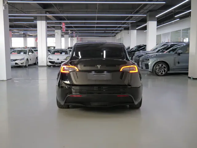 Tesla Model Y — Фото автомобиля 5
