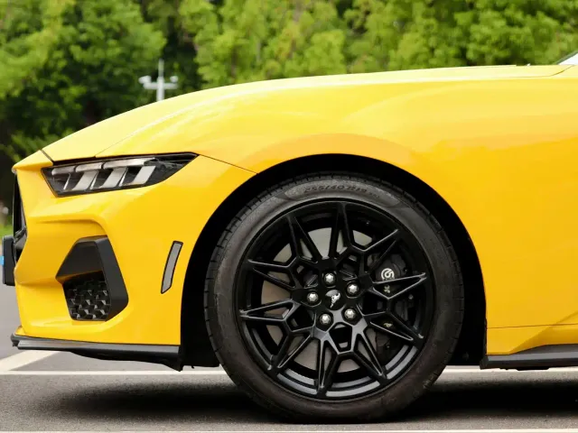Ford Mustang — Фото автомобиля 8