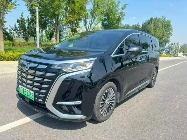 Фотография автомобиля — Denza D9