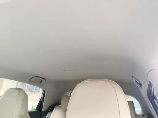 Geely Starry Wish — Фото автомобиля 14