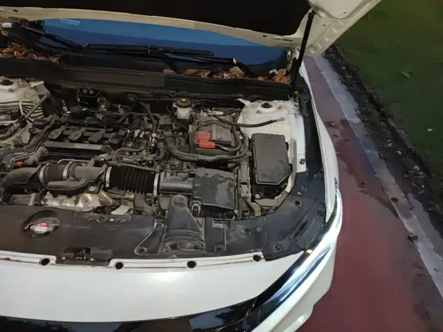 Honda Accord — Фото автомобиля 19