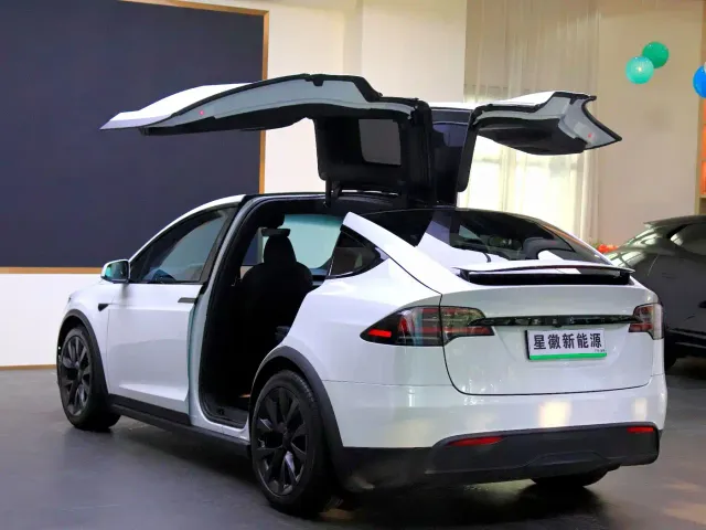 Tesla Model X — Фото автомобиля 19