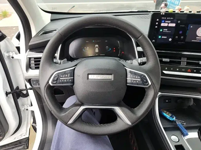 Haval Haval H6 2021 Model National Trend Edition 1.5T Auto Champion — Фото автомобиля 10