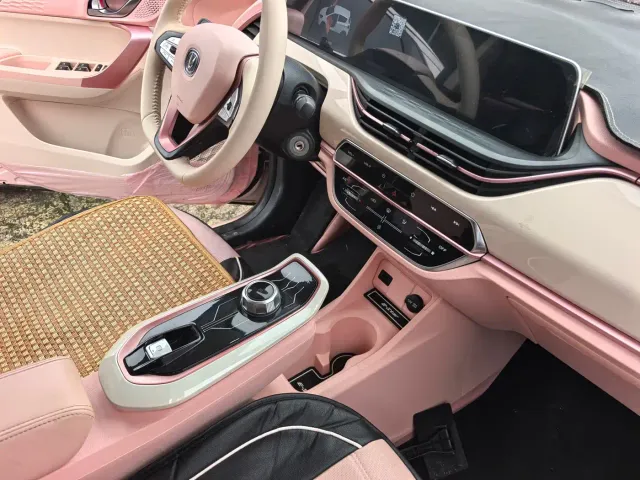 Changan Benben E-Star — Фото автомобиля 8