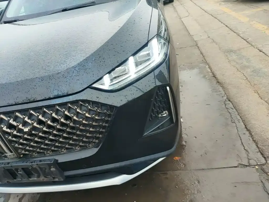 WEY Macchiato DHT-PHEV 2021 1.5L Master Edition — Фото автомобиля 23