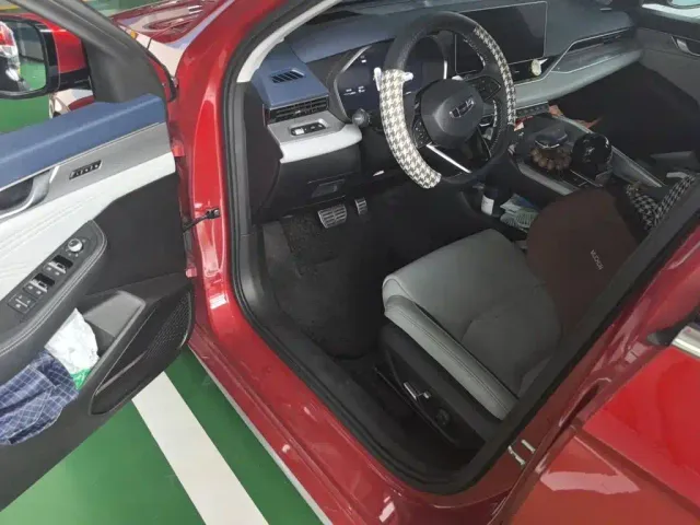 Geely Xing Rui 2021 2.0TD Flagship Model — Фото автомобиля 17