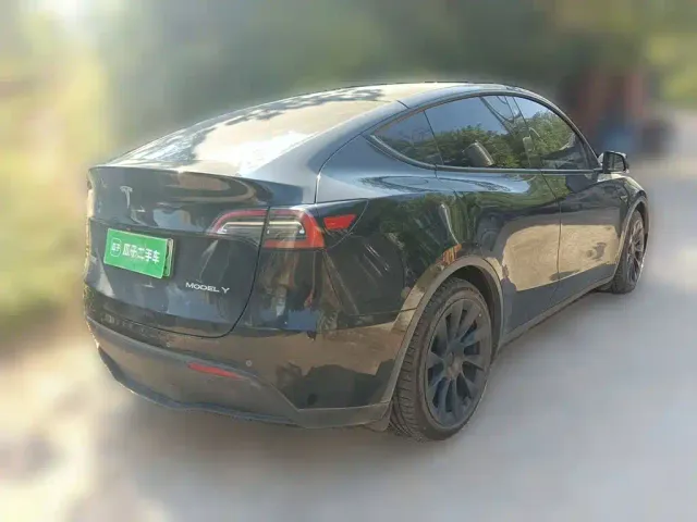 Tesla Model Y — Фото автомобиля 4