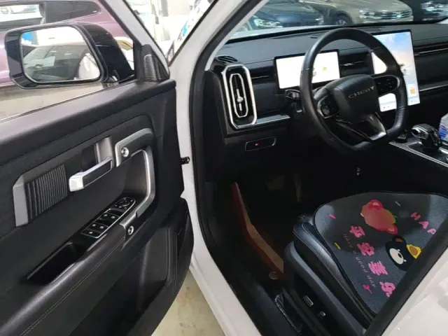 Chery Tansuo 06 — Фото автомобиля 15