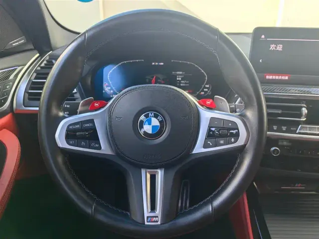 BMW X3 M — Фото автомобиля 14
