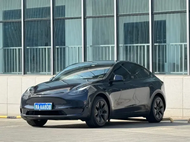 Tesla Model Y — Фото автомобиля 3