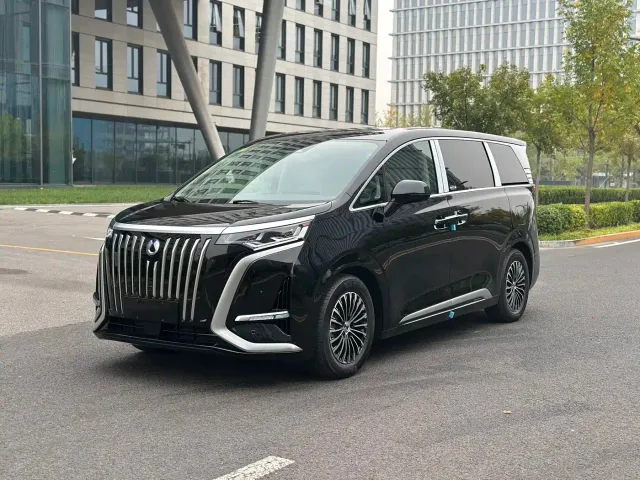 Фотография автомобиля — Denza D9