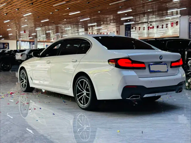 BMW 5 Series — Фото автомобиля 17