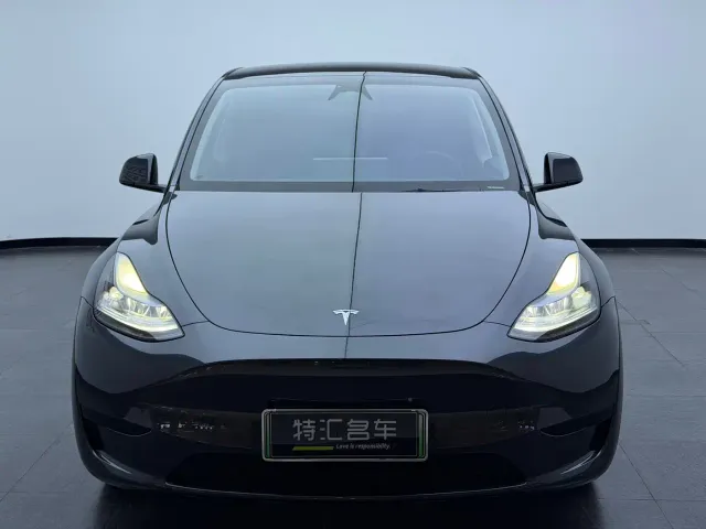 Tesla Model Y — Фото автомобиля 2