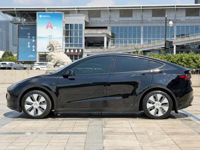 Tesla Model Y — Фото автомобиля 8