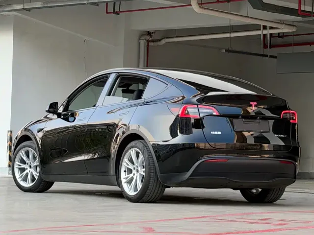 Tesla Model Y — Фото автомобиля 4