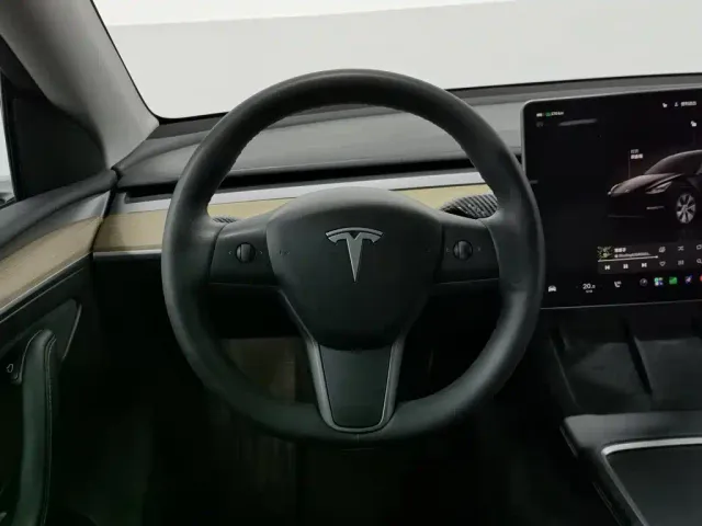 Tesla Model Y — Фото автомобиля 11