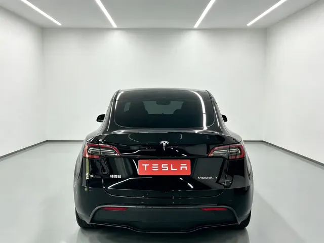 Tesla Model Y — Фото автомобиля 8