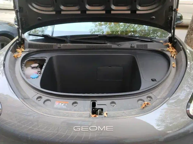Geely Starry Wish — Фото автомобиля 10