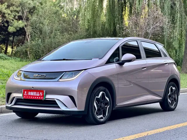 BYD Dolphin — Фото автомобиля 19