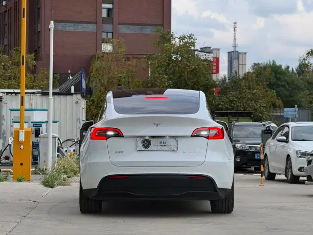 Tesla Model Y — Фото автомобиля 5