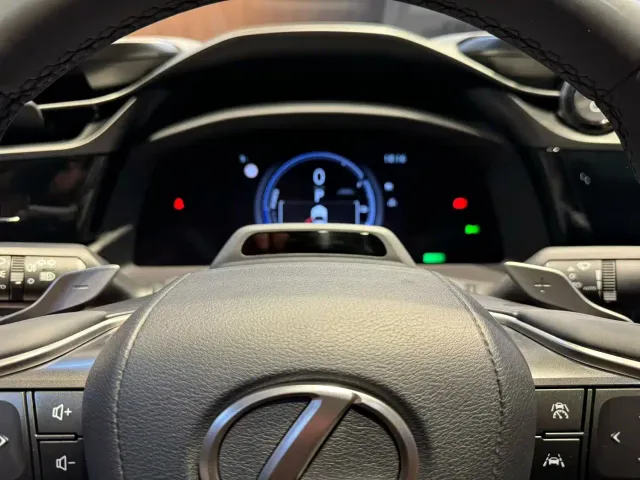Lexus RZ — Фото автомобиля 8