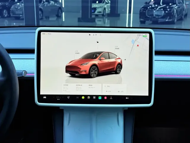 Tesla Model Y — Фото автомобиля 11