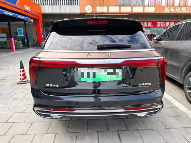 Hongqi E-HS9 — Фото автомобиля 13