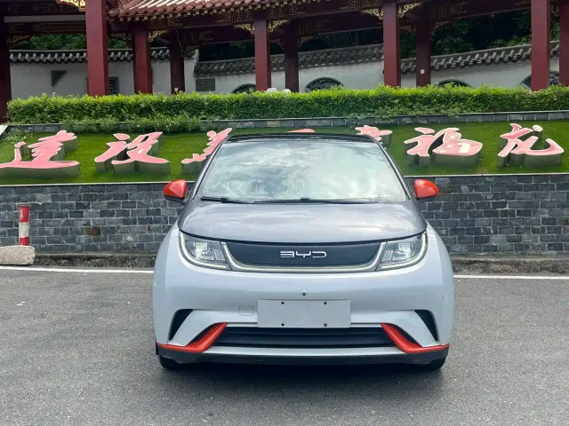 BYD Dolphin — Фото автомобиля 2