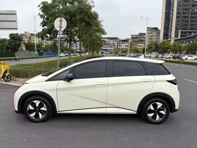 BYD Dolphin — Фото автомобиля 3