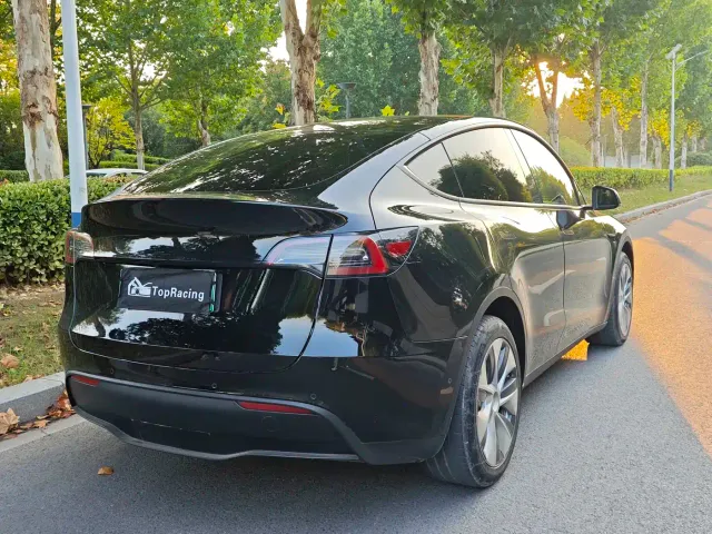 Tesla Model Y — Фото автомобиля 9