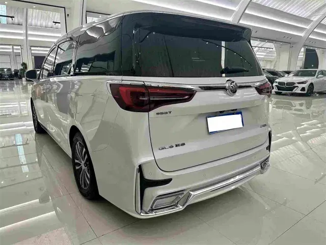 Buick GL8 — Фото автомобиля 19