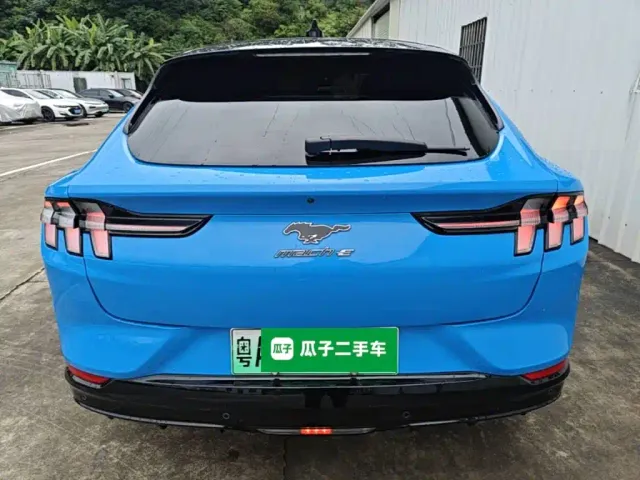 Ford Mustang Mach-E — Фото автомобиля 3