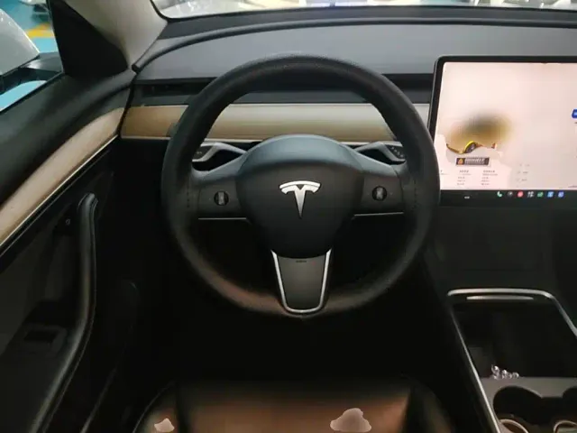 Tesla Model 3 — Фото автомобиля 10