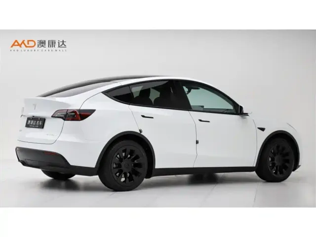 Tesla Model Y — Фото автомобиля 3