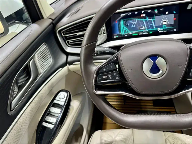 Denza D9 — Фото автомобиля 18