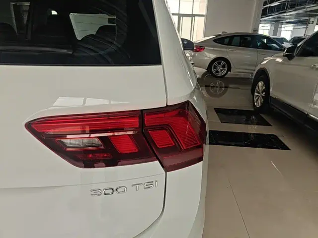 Volkswagen Tiguan L — Фото автомобиля 7